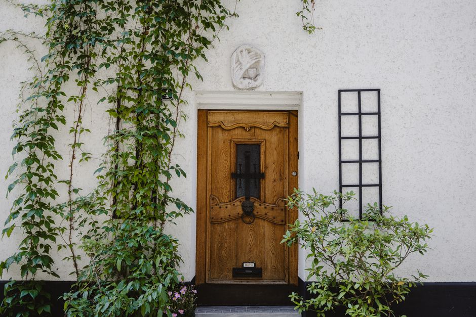 A painted wooden door with ivy growing beside it.